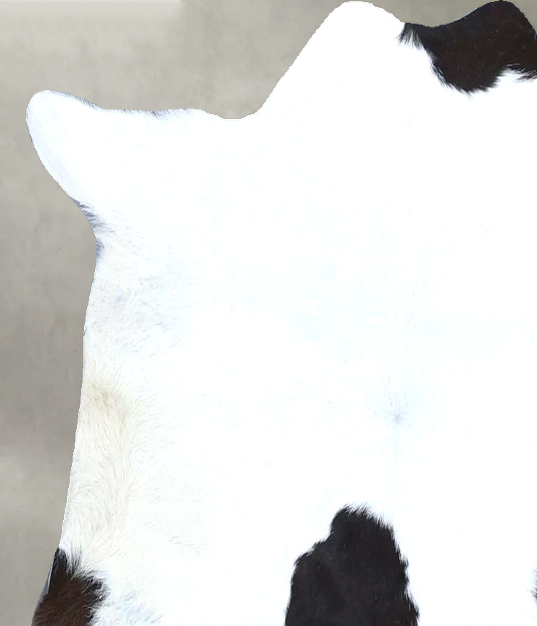 Calfhide Approx 2'x3' #B21473 by Hudson Hides