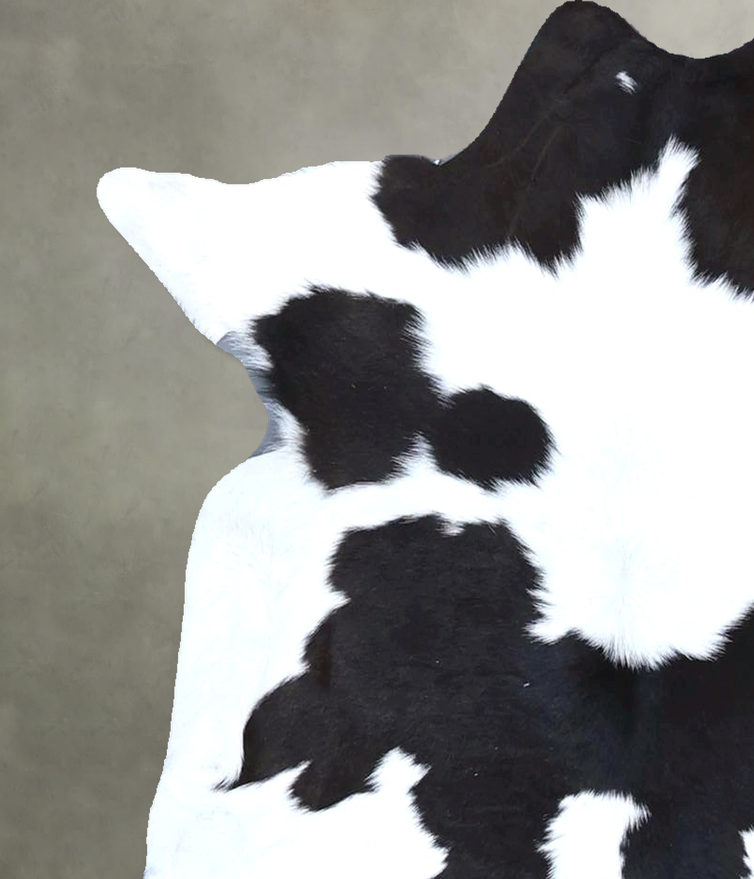 Calfhide Approx 2'x3' #B21476 by Hudson Hides