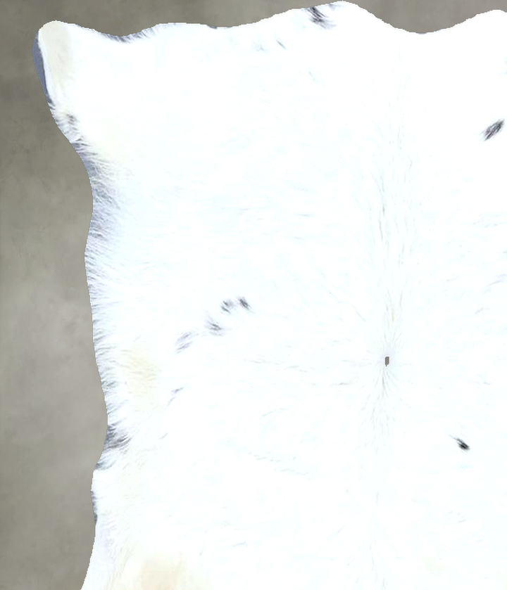 Calfhide Approx 2'x3' #B21479 by Hudson Hides