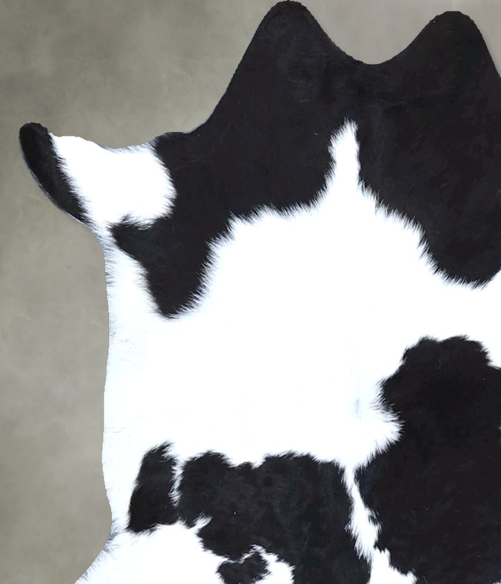 Calfhide Approx 2'x3' #B21481 by Hudson Hides