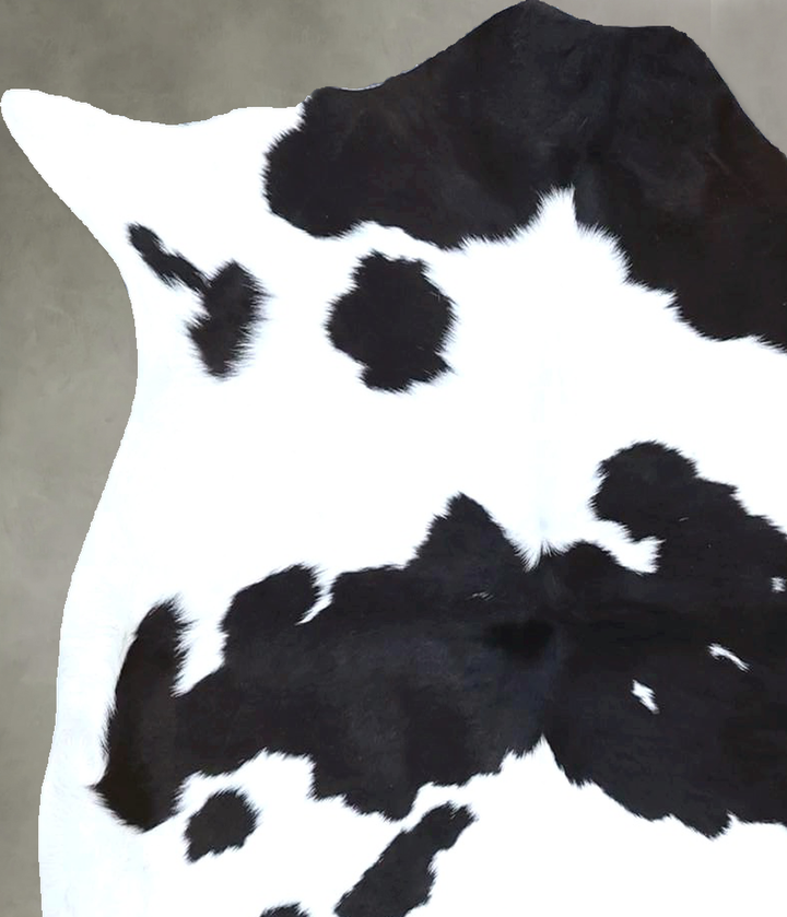 Calfhide Approx 2'x3' #B21485 by Hudson Hides