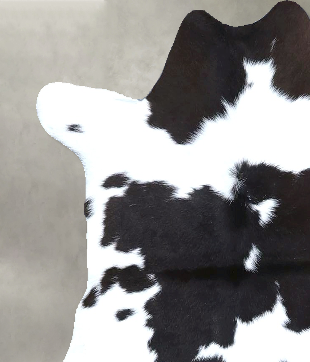 Calfhide Approx 2'x3' #B21486 by Hudson Hides