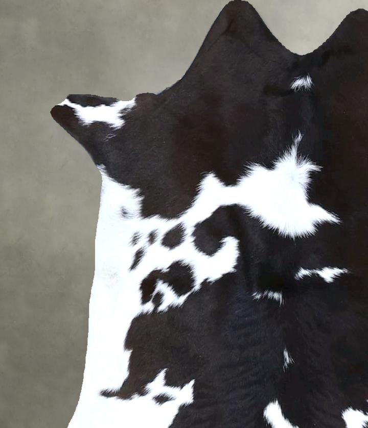 Calfhide Approx 2'x3' #B21488 by Hudson Hides