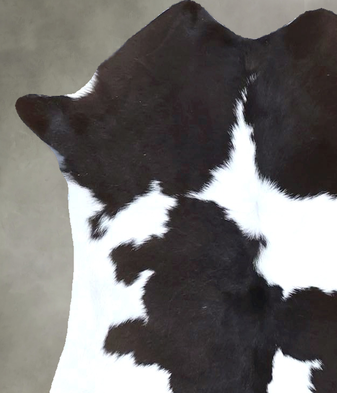 Calfhide Approx 2'x3' #B21490 by Hudson Hides