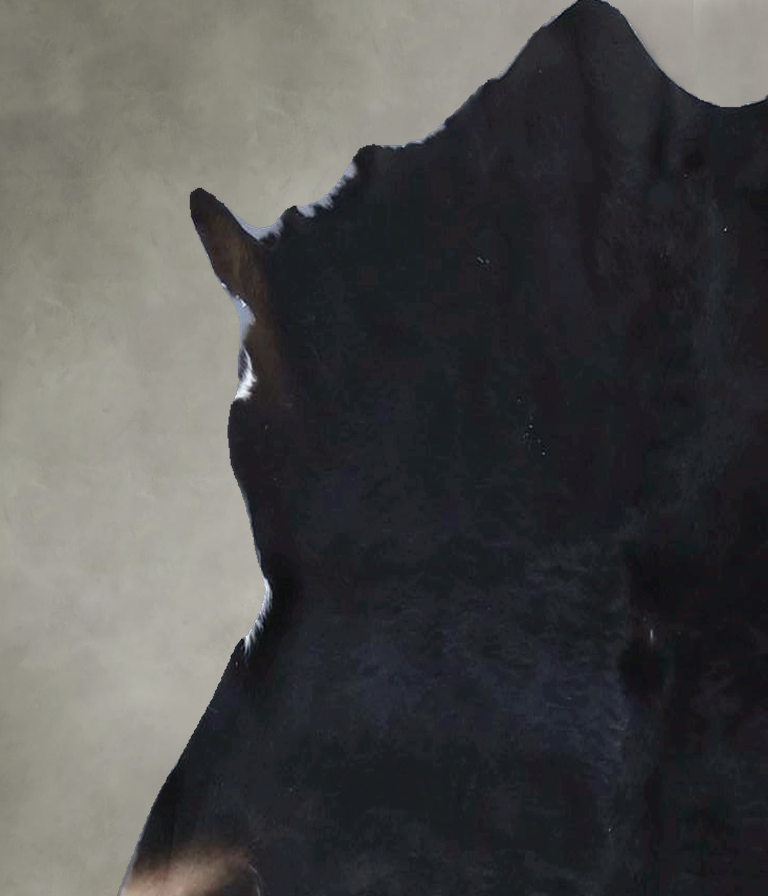 Calfhide Approx 2'x3' #B21491 by Hudson Hides