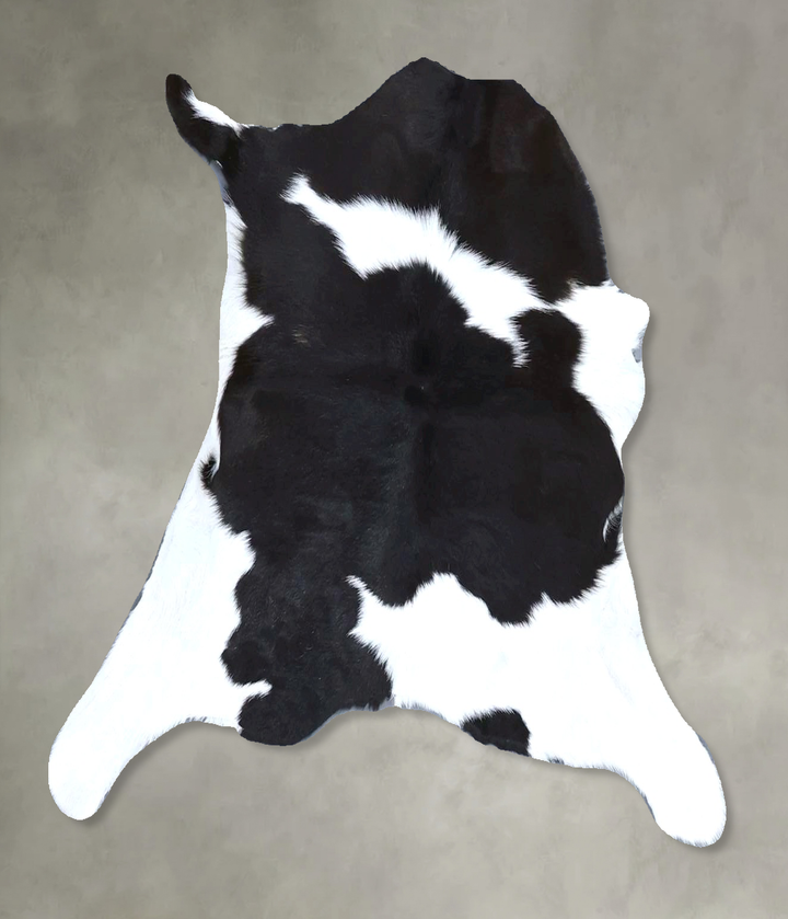 Calfhide Approx 2'x3' #B21493 by Hudson Hides
