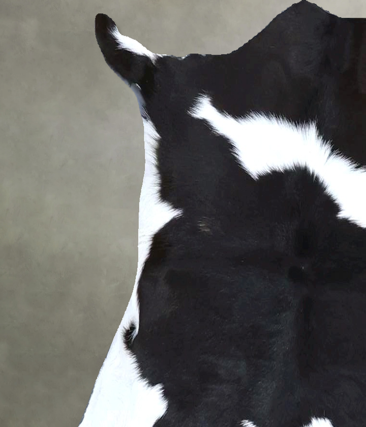 Calfhide Approx 2'x3' #B21493 by Hudson Hides