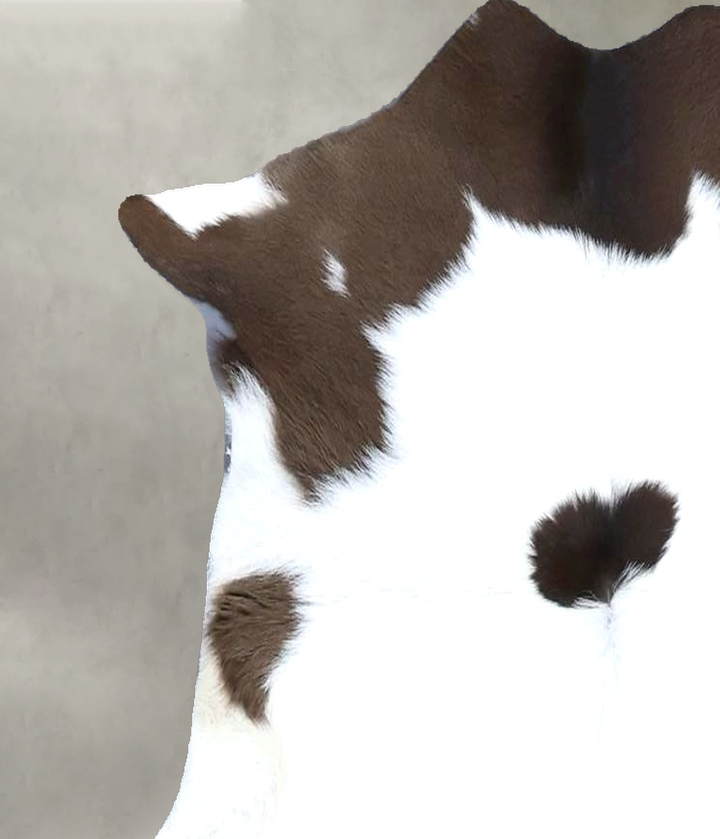 Calfhide Approx 2'x3' #B21494 by Hudson Hides