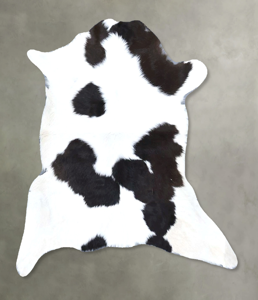 Calfhide Approx 2'x3' #B21495 by Hudson Hides