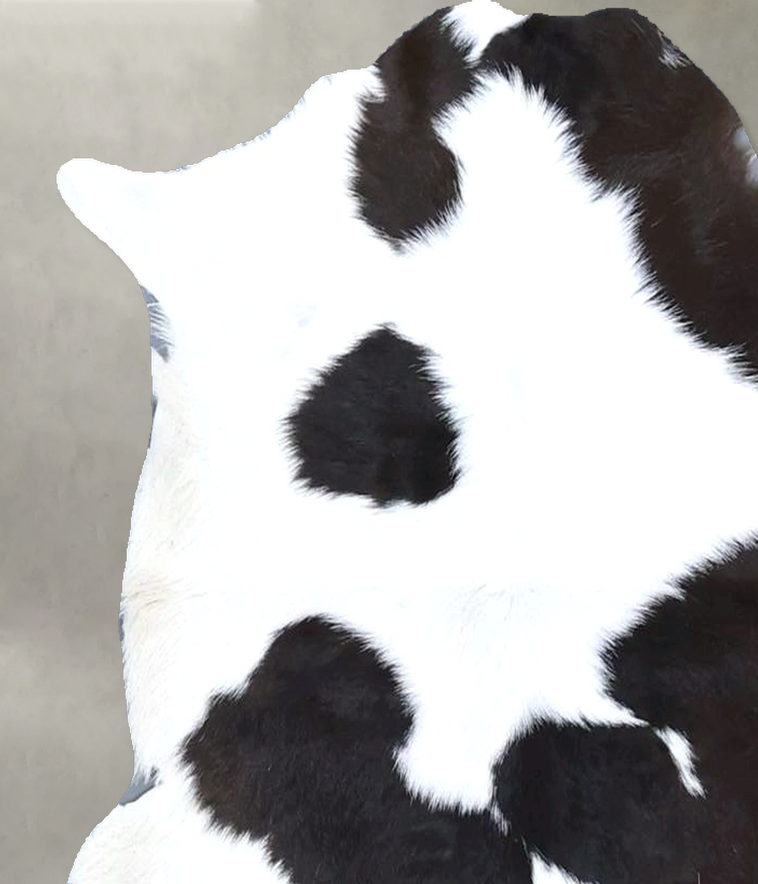 Calfhide Approx 2'x3' #B21495 by Hudson Hides