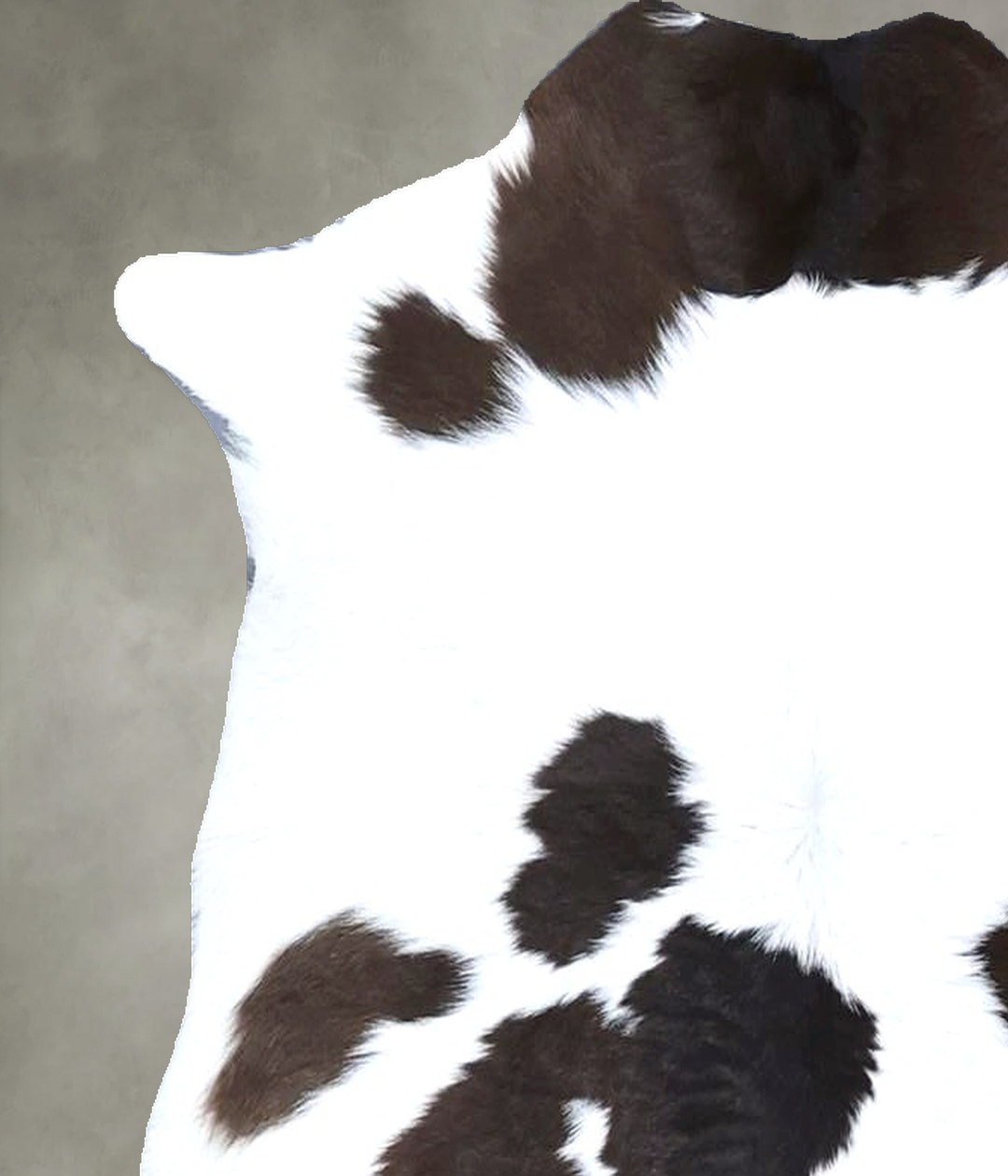 Calfhide Approx 2'x3' #B21496 by Hudson Hides