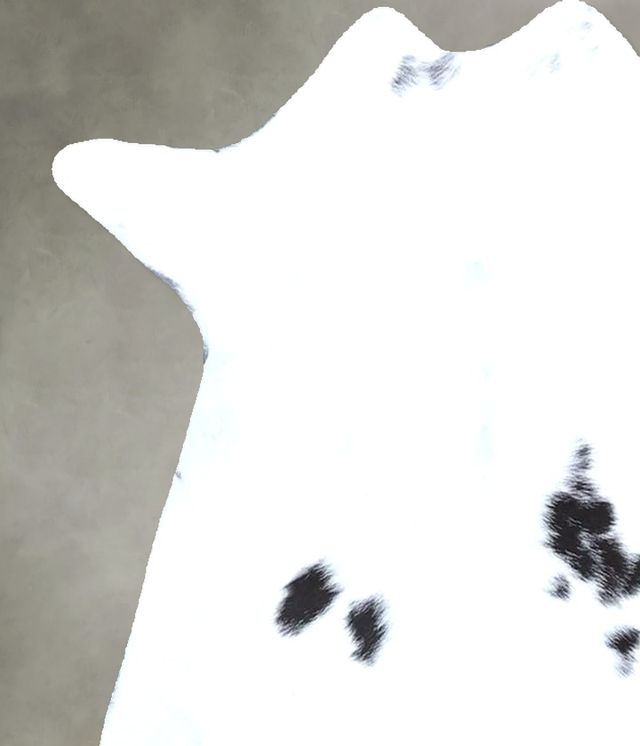 Calfhide Approx 2'x3' #B21497 by Hudson Hides