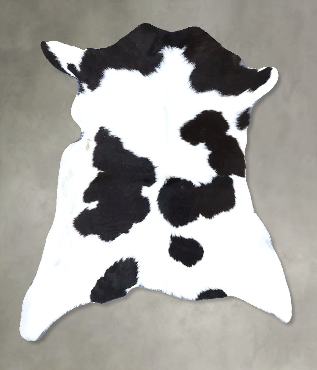 Calfhide Approx 2'x3' #B21498 by Hudson Hides