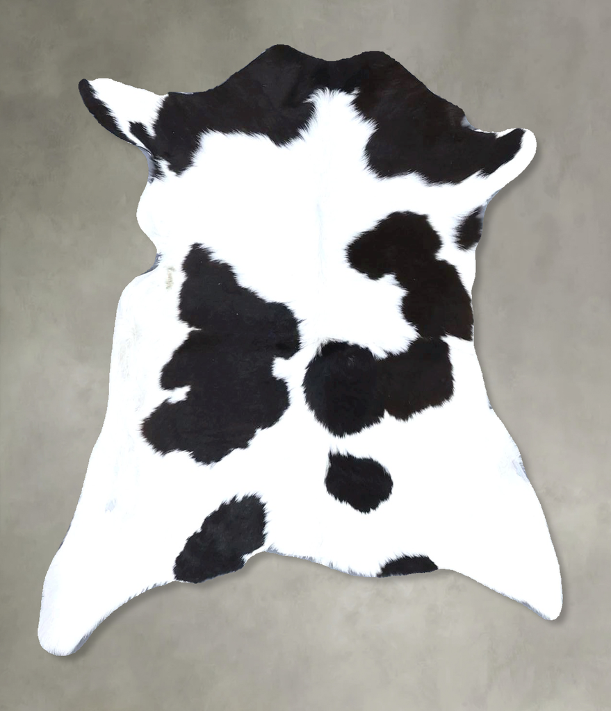 Calfhide Approx 2'x3' #B21498 by Hudson Hides