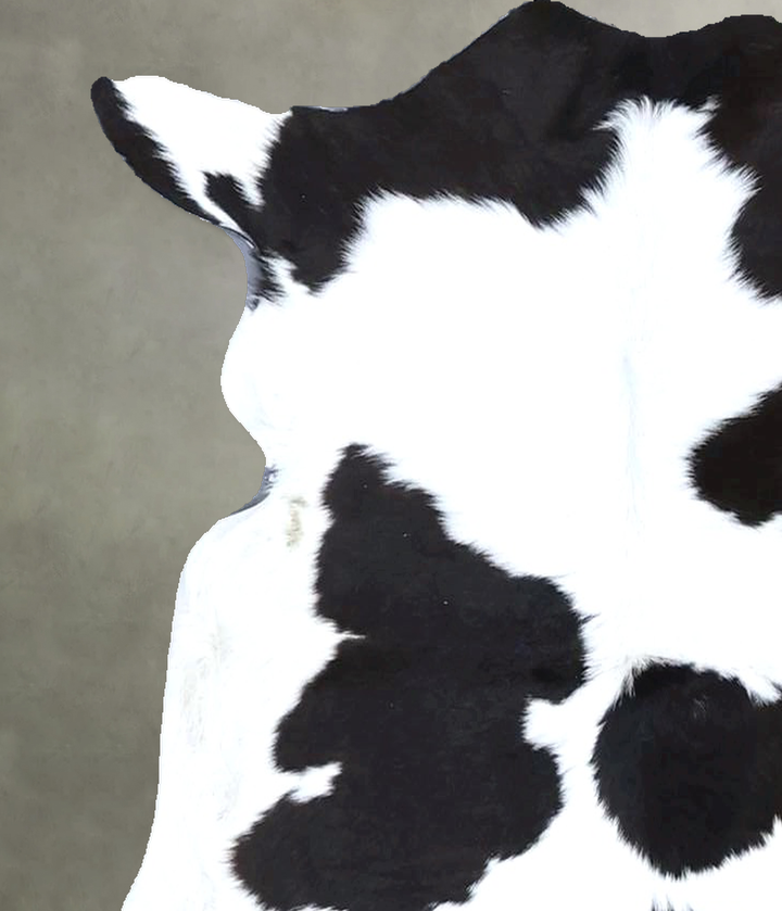 Calfhide Approx 2'x3' #B21498 by Hudson Hides