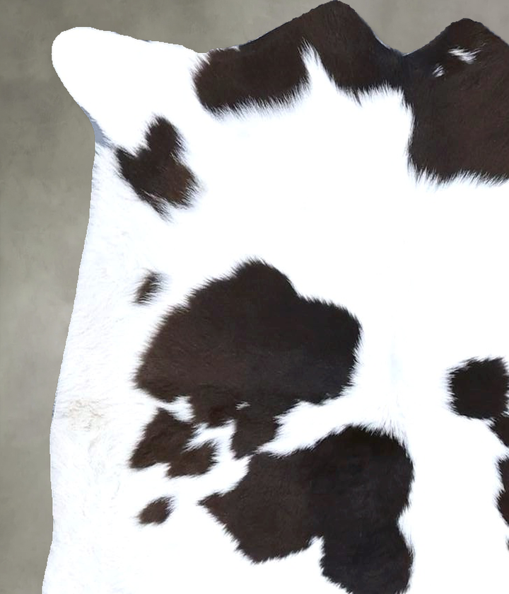 Calfhide Approx 2'x3' #B21500 by Hudson Hides