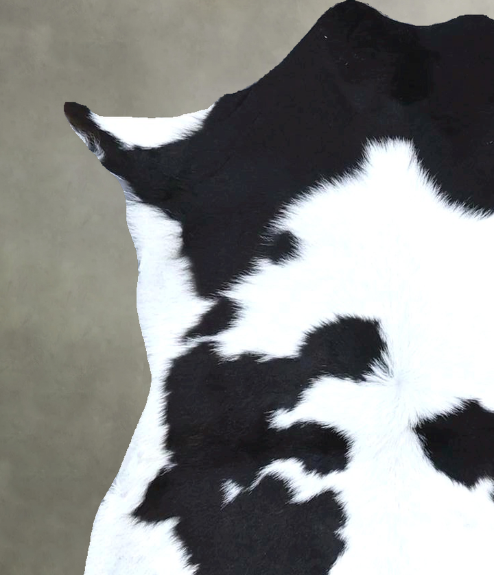 Calfhide Approx 2'x3' #B21504 by Hudson Hides