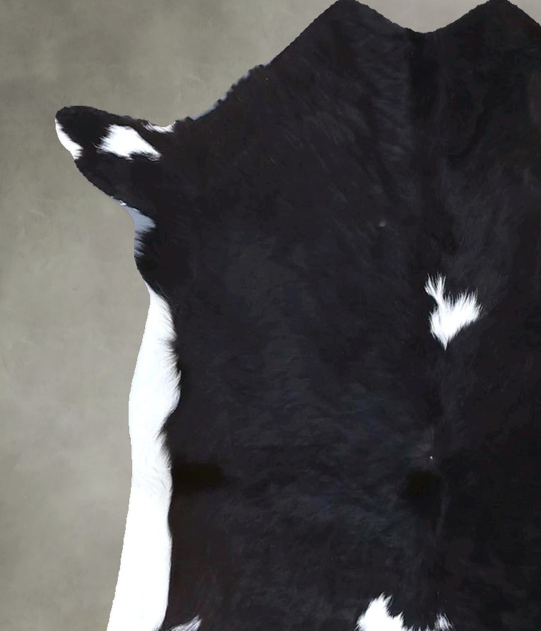 Calfhide Approx 2'x3' #B21512 by Hudson Hides