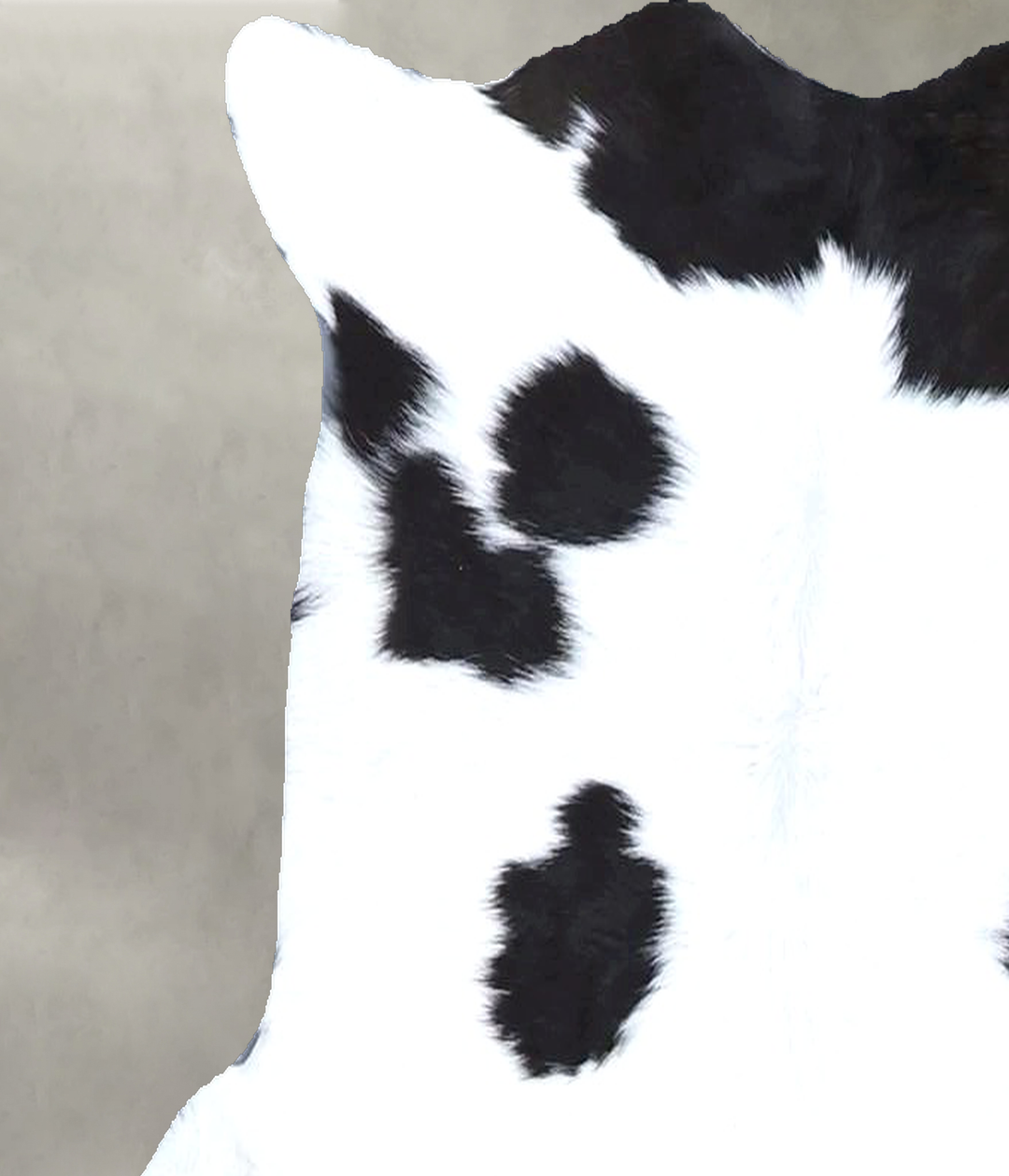 Calfhide Approx 2'x3' #B21518 by Hudson Hides