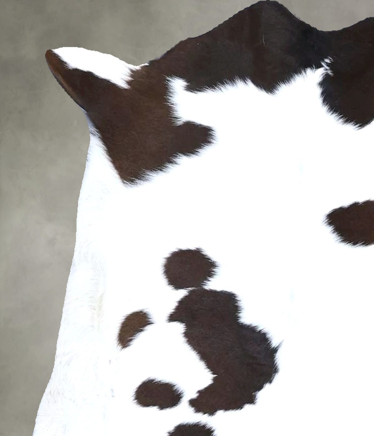 Calfhide Rug #B21520