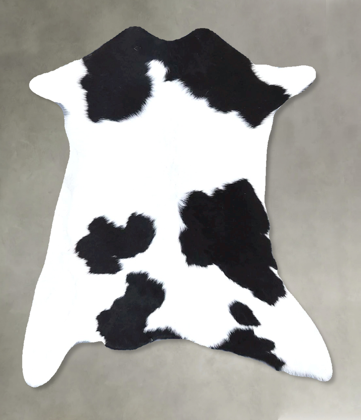 Calfhide Approx 2'x3' #B21521 by Hudson Hides