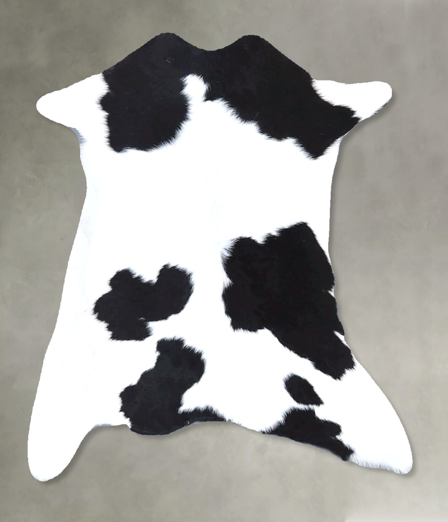 Calfhide Approx 2'x3' #B21521 by Hudson Hides
