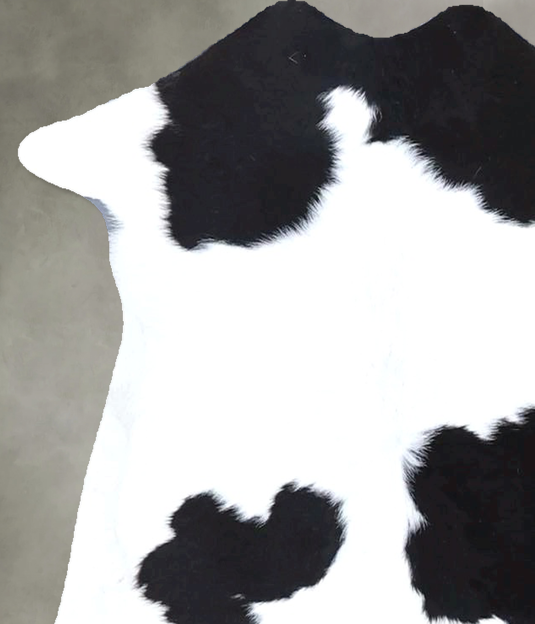 Calfhide Approx 2'x3' #B21521 by Hudson Hides