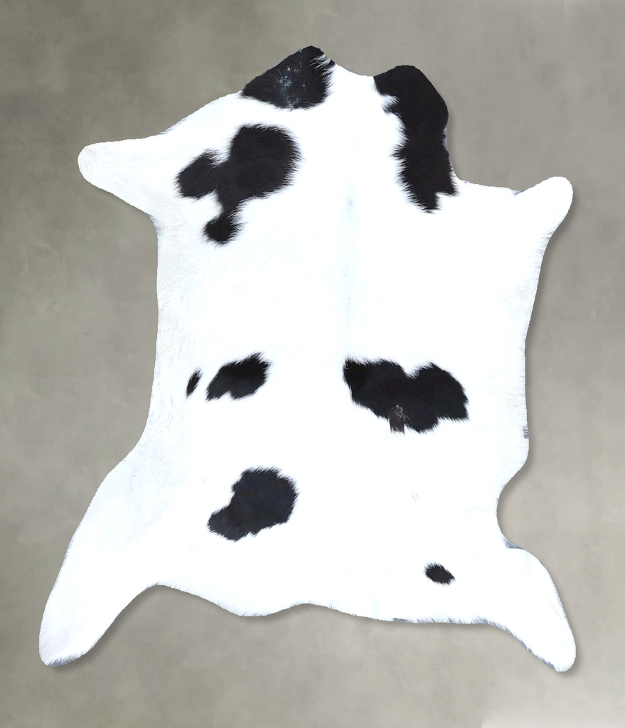 Calfhide Approx 2'x3' #B21524 by Hudson Hides