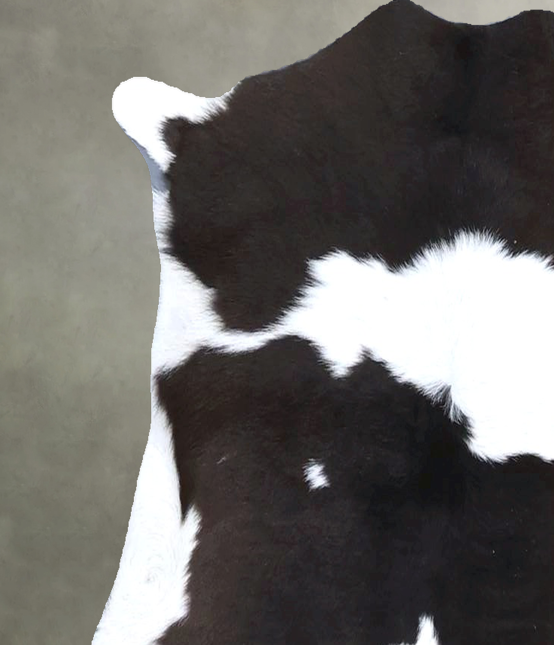 Calfhide Approx 2'x3' #B21526 by Hudson Hides