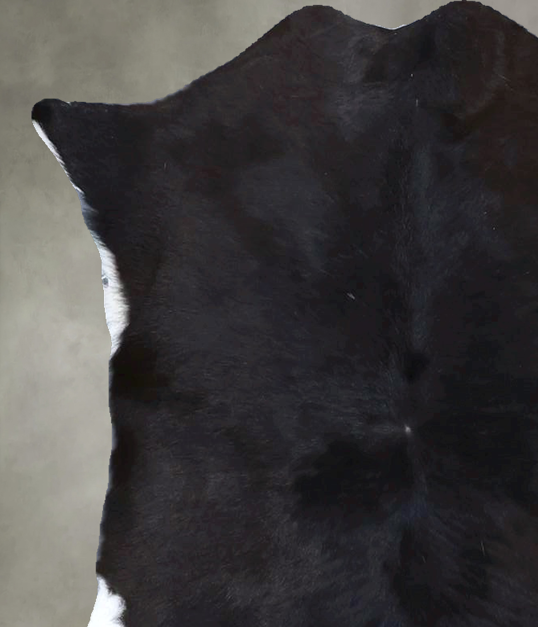 Calfhide Approx 2'x3' #B21527 by Hudson Hides