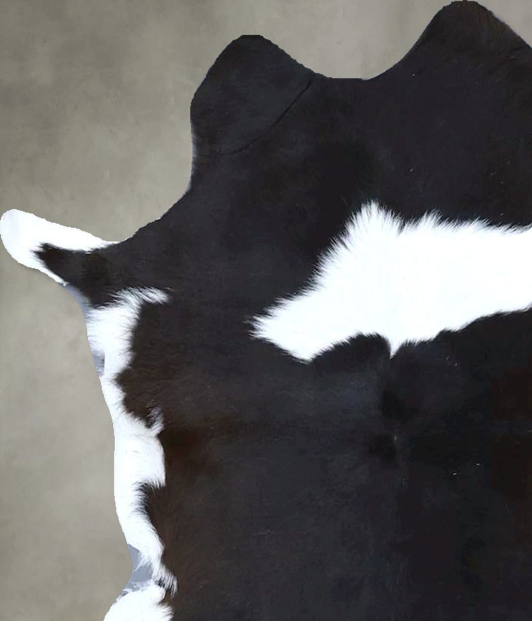 Calfhide Approx 2'x3' #B21531 by Hudson Hides