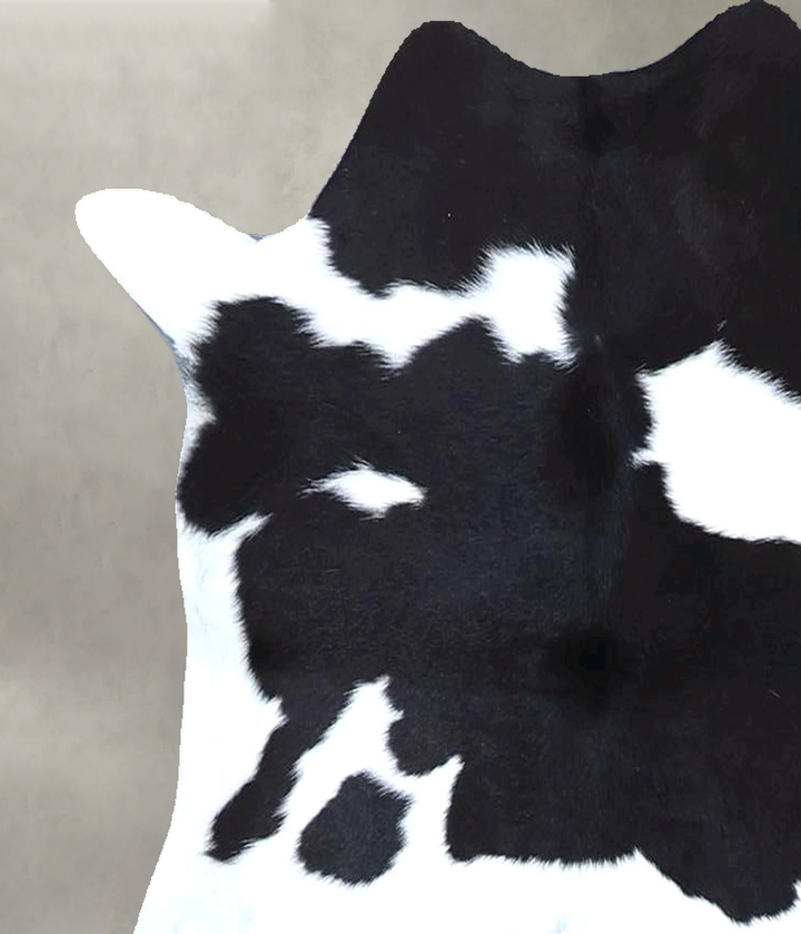 Calfhide Approx 2'x3' #B21535 by Hudson Hides