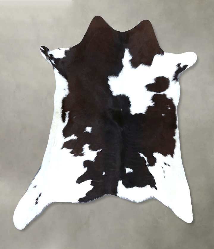 Calfhide Approx 2'x3' #B21536 by Hudson Hides