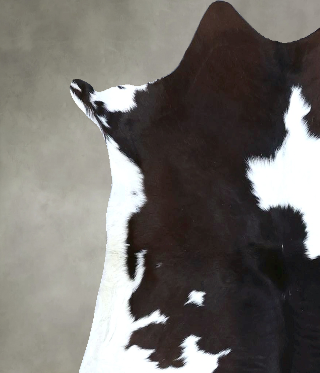 Calfhide Approx 2'x3' #B21536 by Hudson Hides