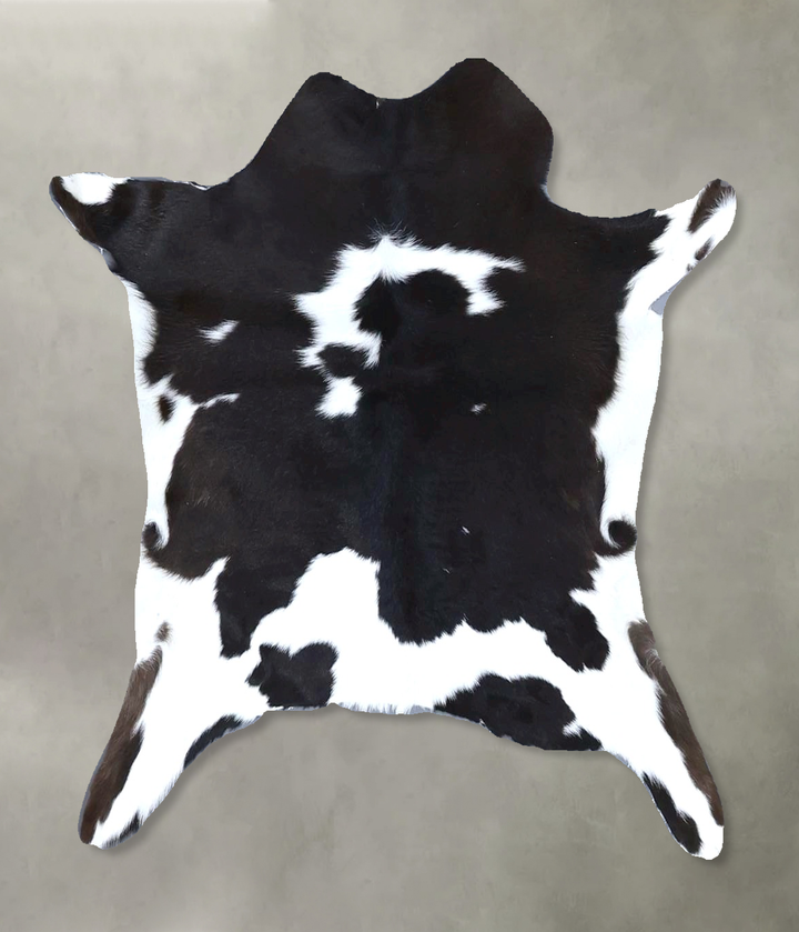 Calfhide Approx 2'x3' #B21537 by Hudson Hides
