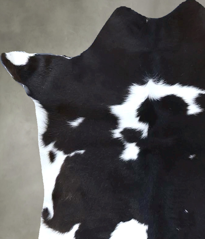 Calfhide Approx 2'x3' #B21537 by Hudson Hides