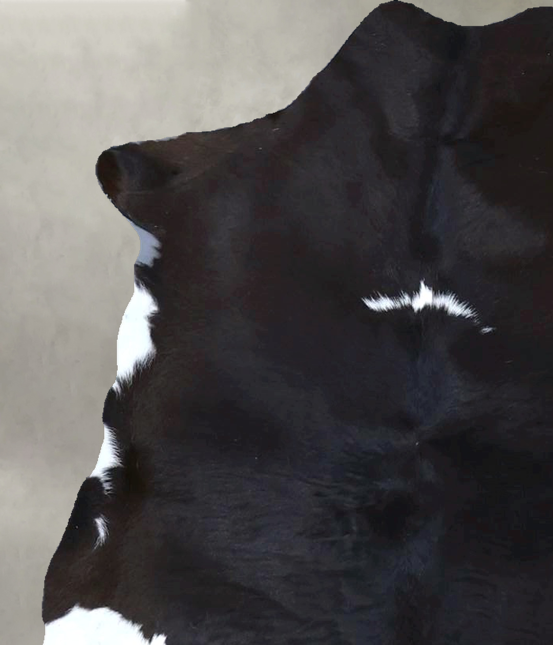 Calfhide Approx 2'x3' #B21539 by Hudson Hides