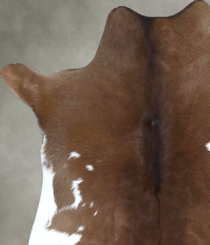 Calfhide Approx 2'x3' #B21543 by Hudson Hides