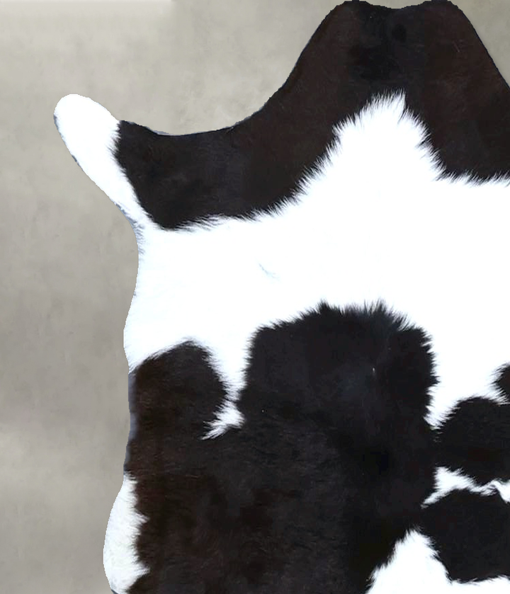 Calfhide Approx 2'x3' #B21547 by Hudson Hides