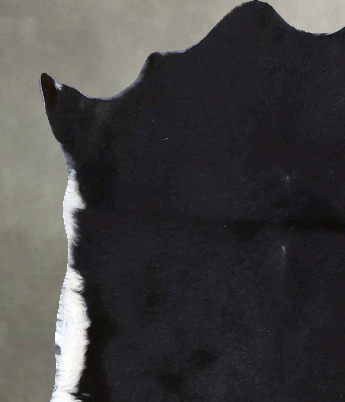 Calfhide Rug #B21548