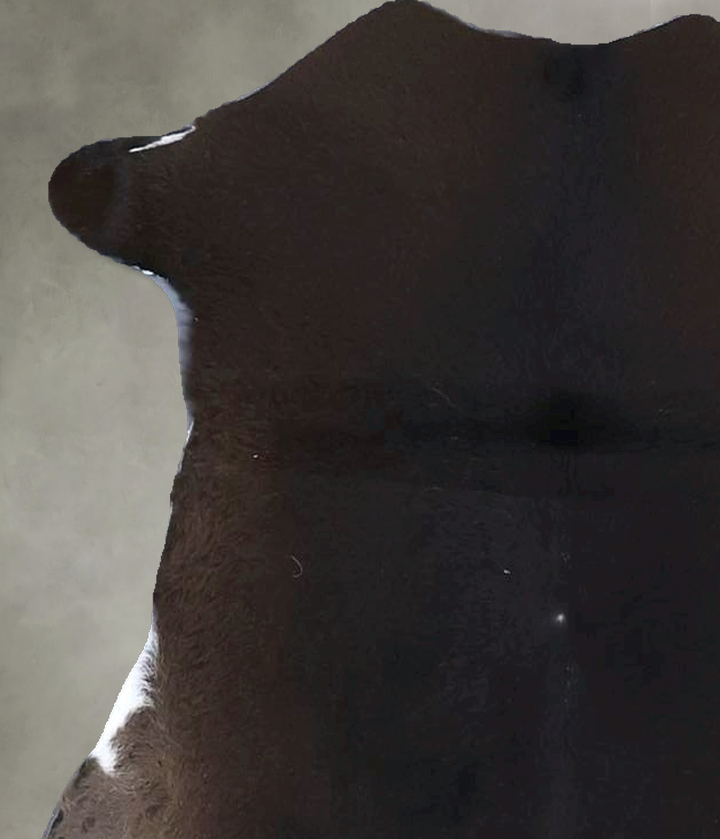 Calfhide Approx 2'x3' #B21549 by Hudson Hides