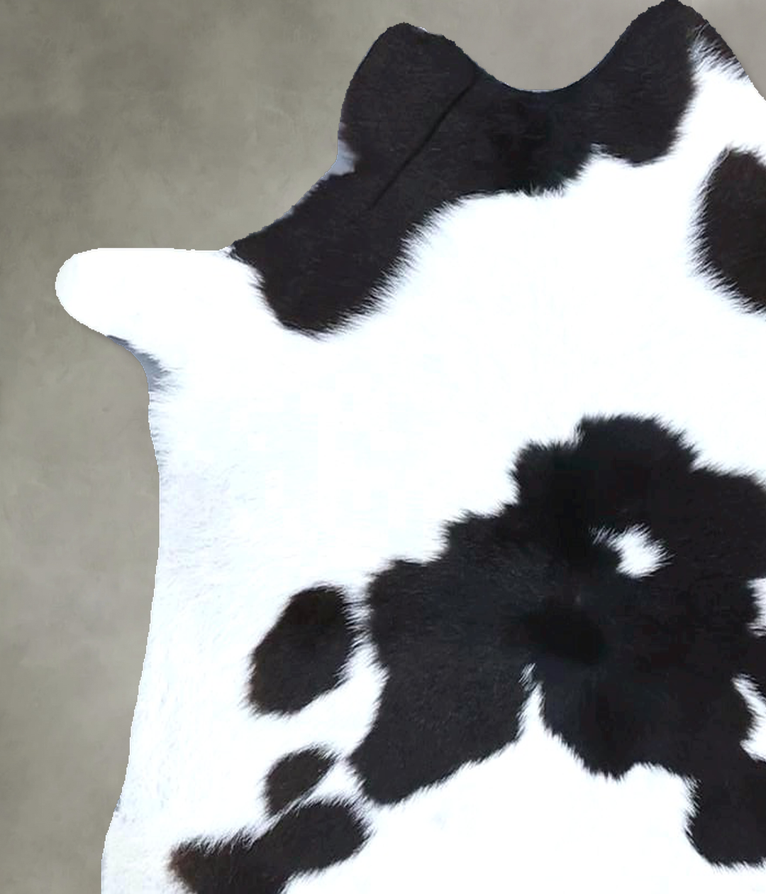 Calfhide Approx 2'x3' #B21553 by Hudson Hides