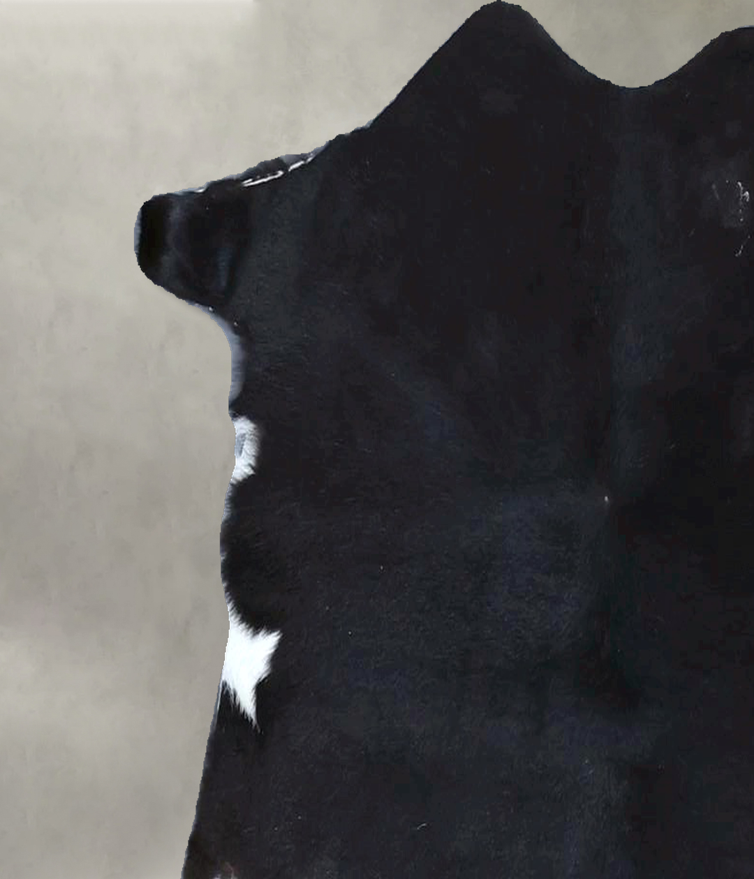 Calfhide Approx 2'x3' #B21557 by Hudson Hides