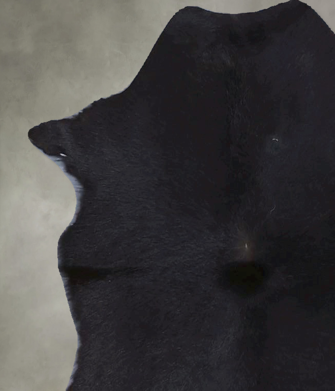 Calfhide Approx 2'x3' #B21558 by Hudson Hides