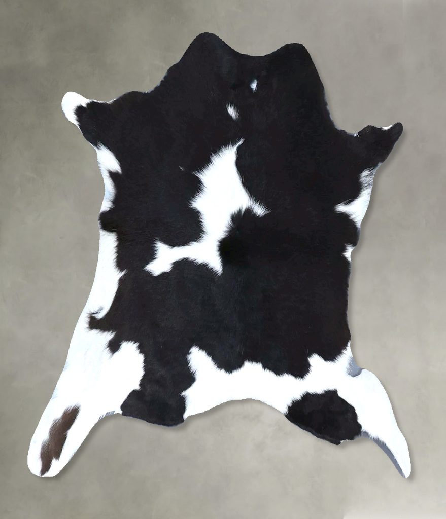 Calfhide Approx 2'x3' #B21561 by Hudson Hides
