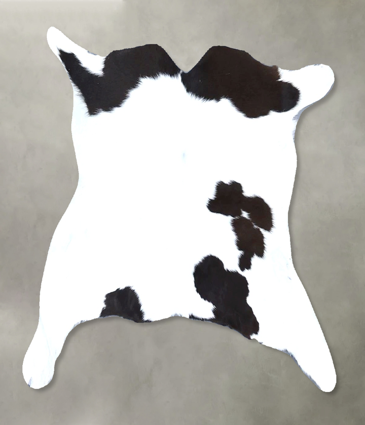 Calfhide Approx 2'x3' #B21563 by Hudson Hides