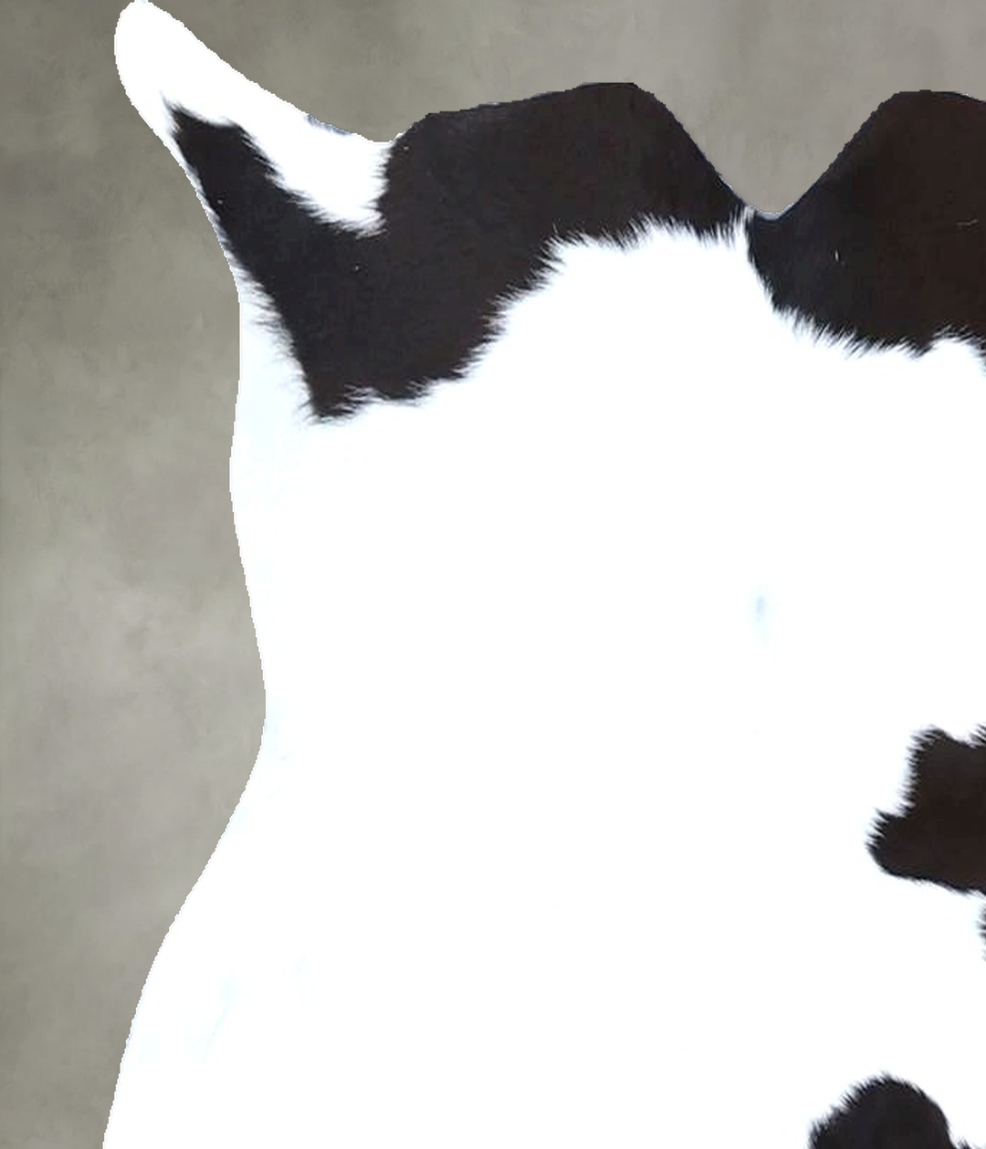 Calfhide Approx 2'x3' #B21563 by Hudson Hides