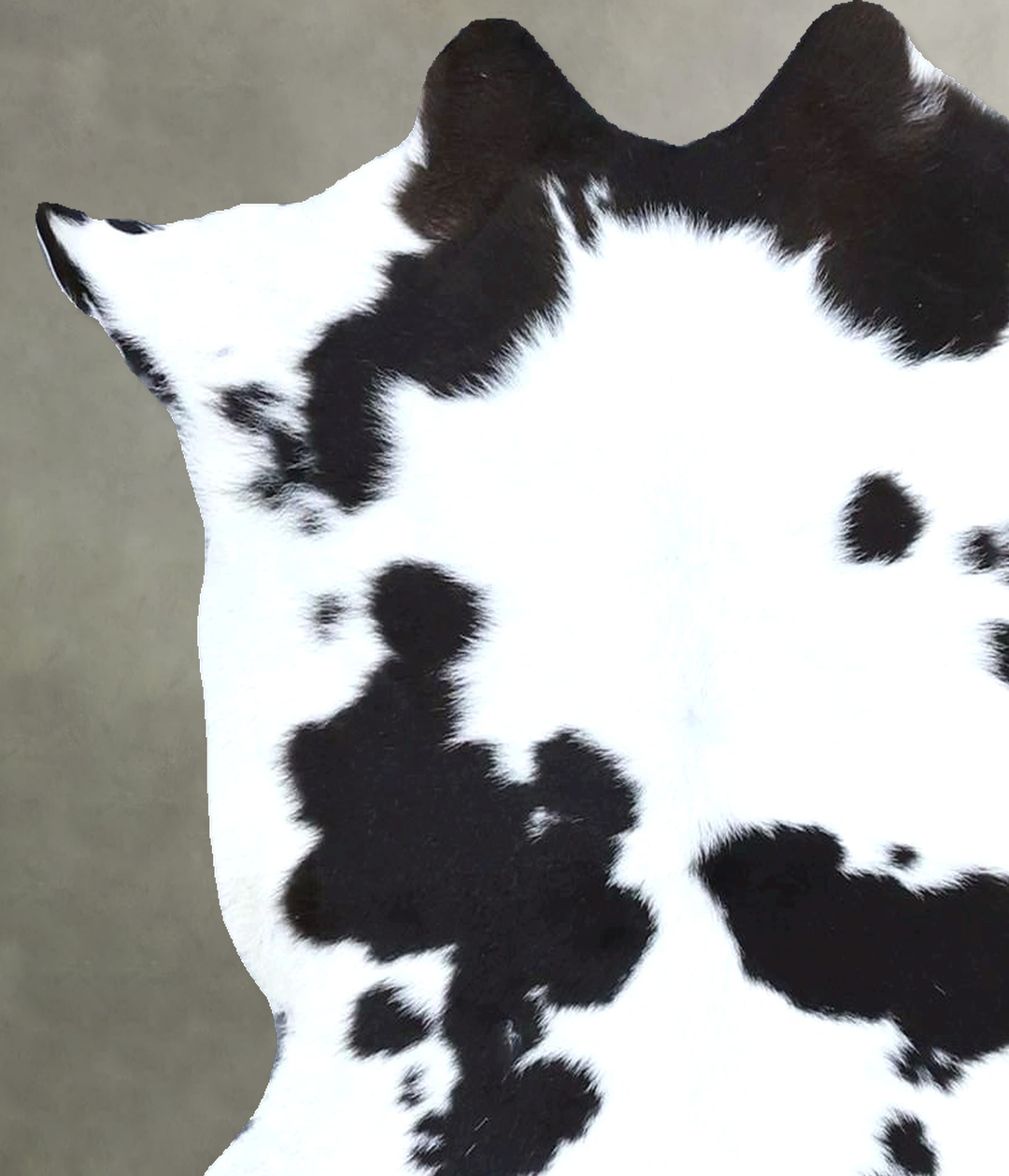 Calfhide Approx 2'x3' #B21564 by Hudson Hides