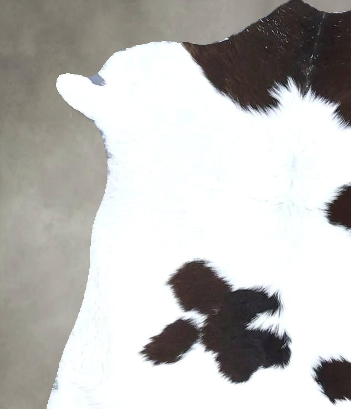 Calfhide Rug #B21568
