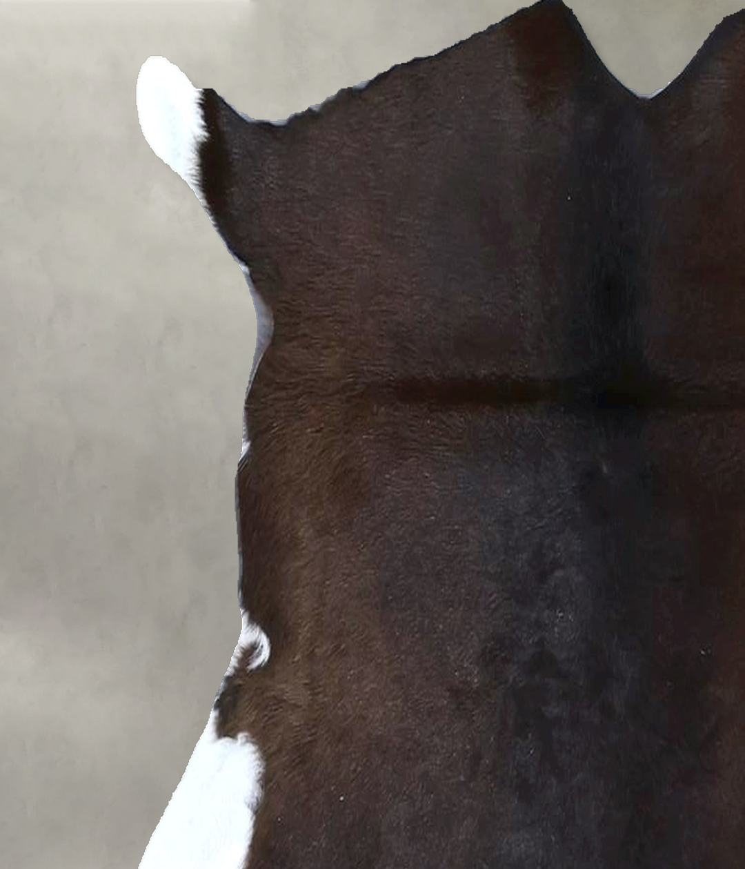 Calfhide Approx 2'x3' #B21576 by Hudson Hides